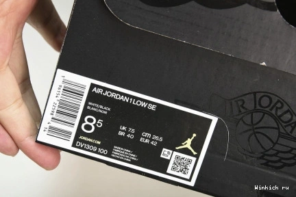 Low SE Concord 1 Jordan 1123